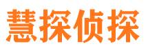 环江侦探公司